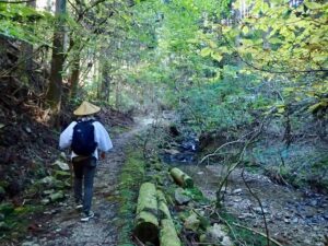 渓流沿いの道になった